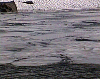 211 - fluela.jpg