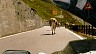 045-ghcow.jpg