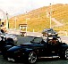 130-PetitBernard.jpg