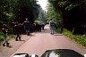 215-Almabtrieb.jpg